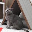 Ketu Kedi Evi - nowshopfun