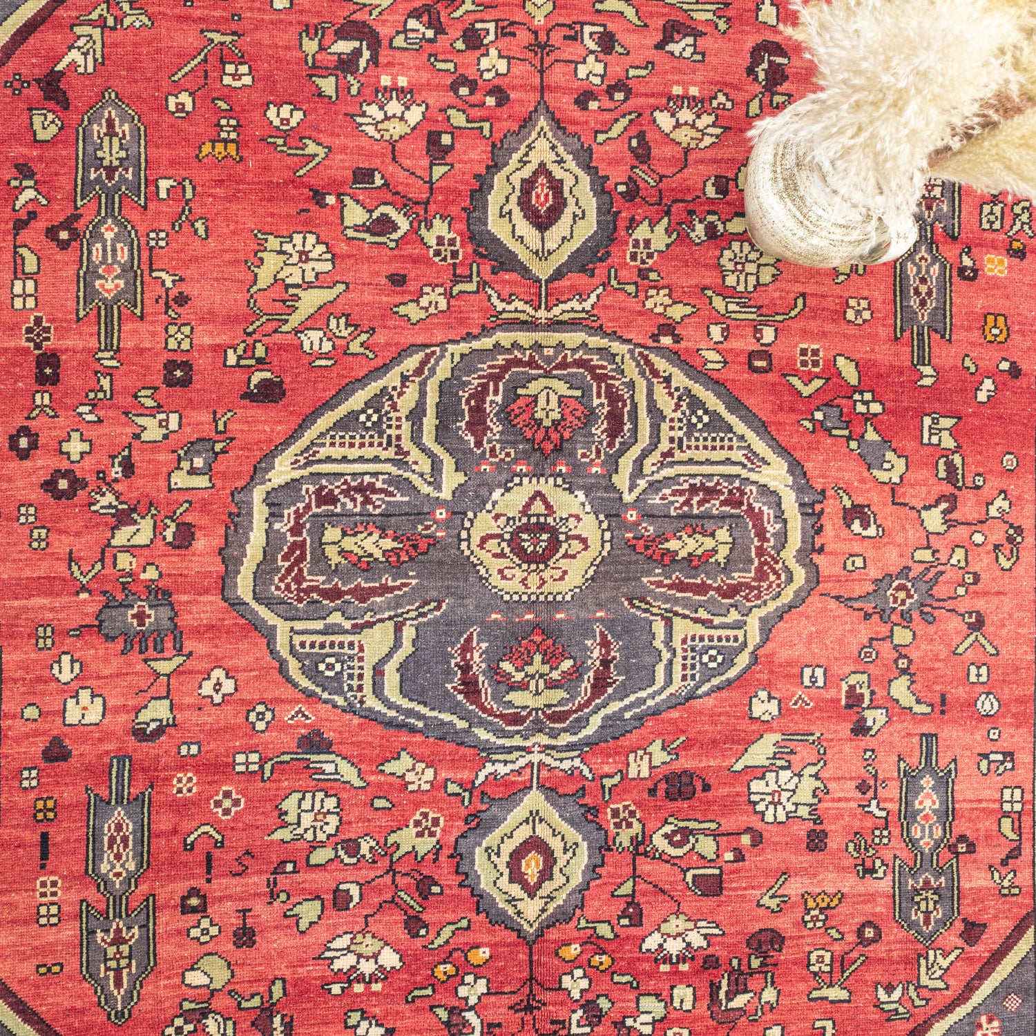 Piravi Çiçek Desenli El Dokuma Halı 217x334 cm