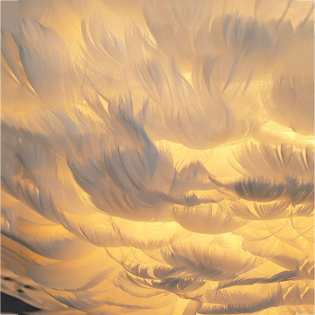 Pluma Sarkıt Medium