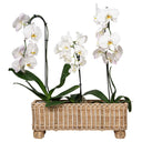 Provence Rattan Dikdörtgen Saksı Beyaz Eskitme-Juliska Outdoor-Juliska-NowShopFun