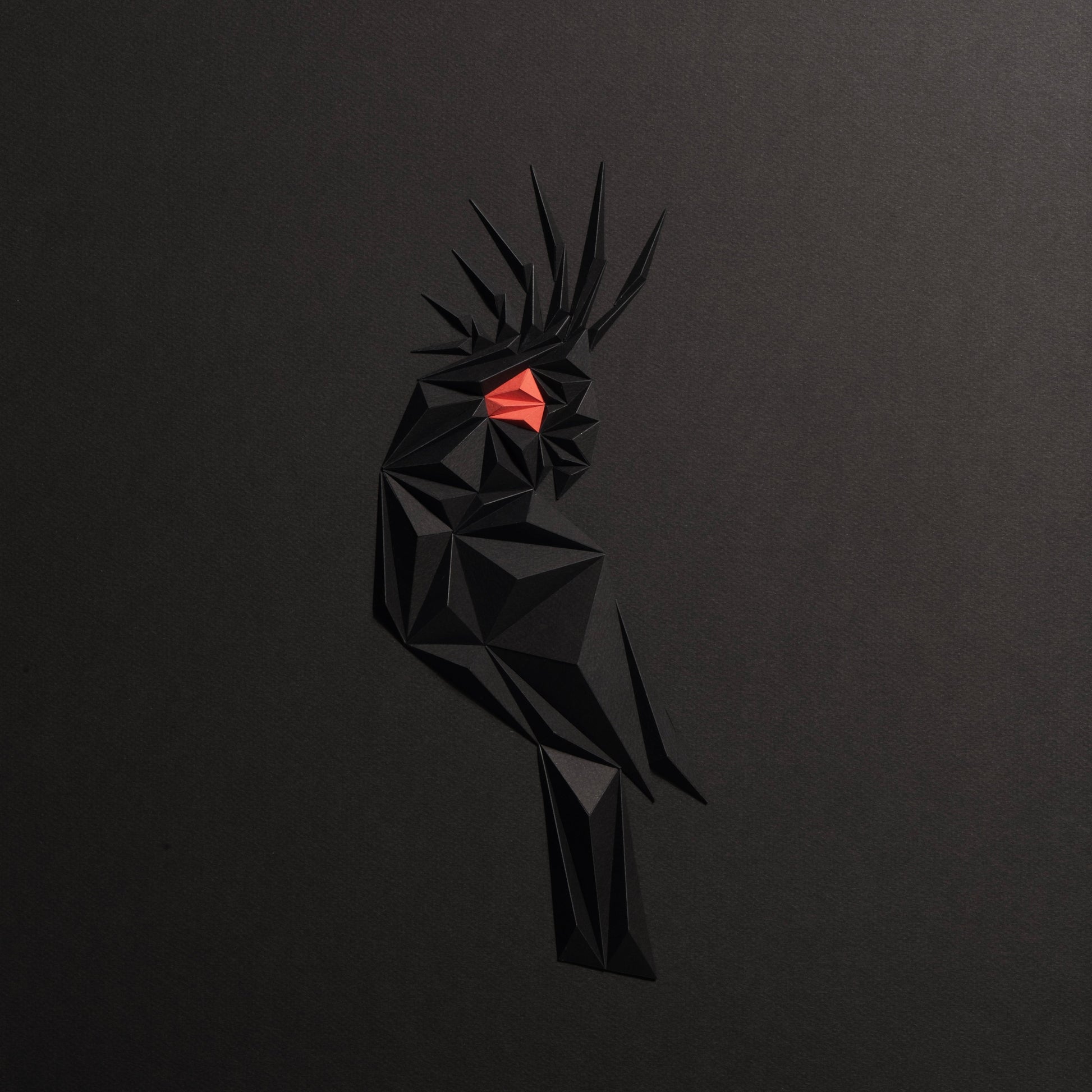Pulm Cockatoo - Black Edition Tablo