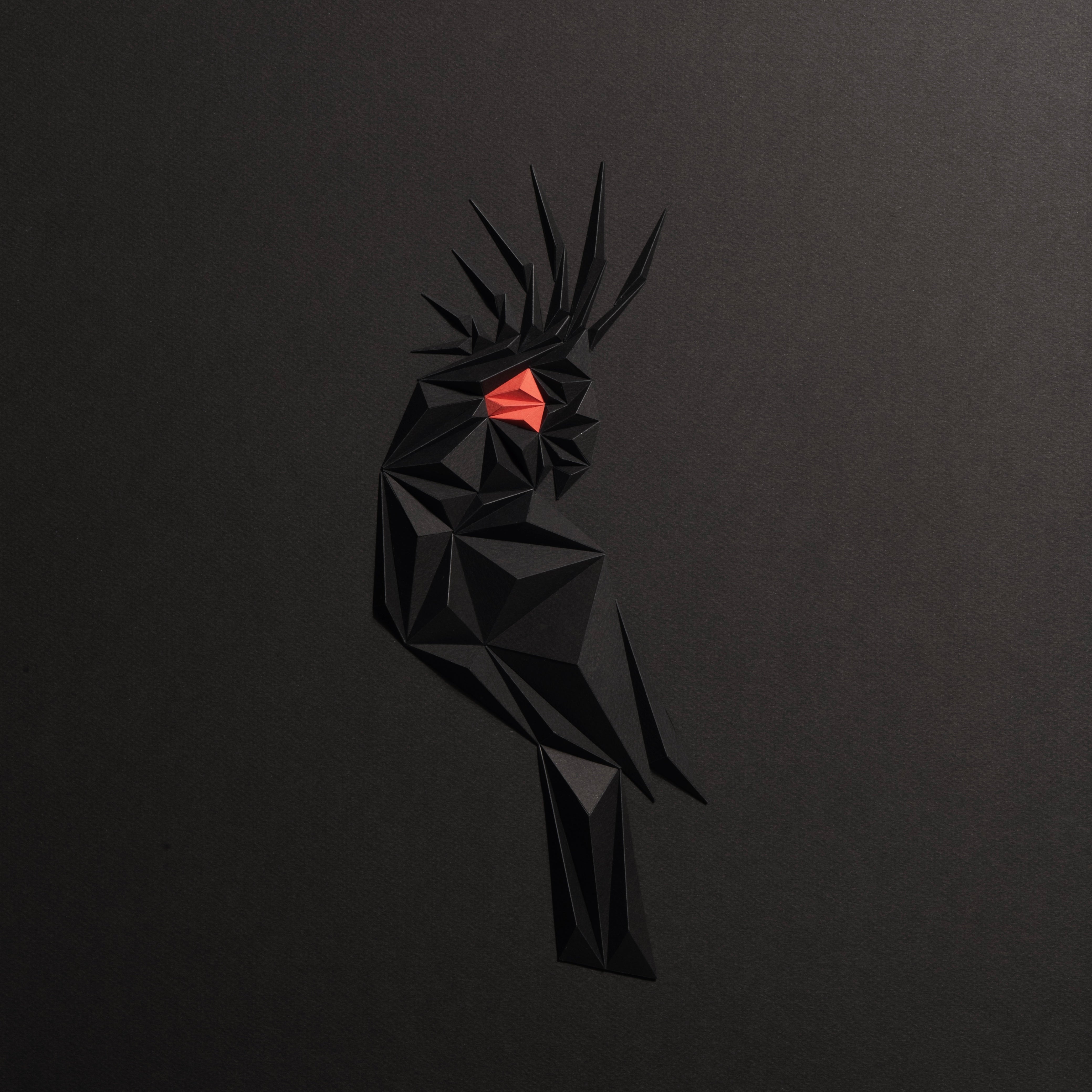 Pulm Cockatoo - Black Edition Tablo