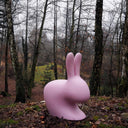 Rabbit Pembe Tabure