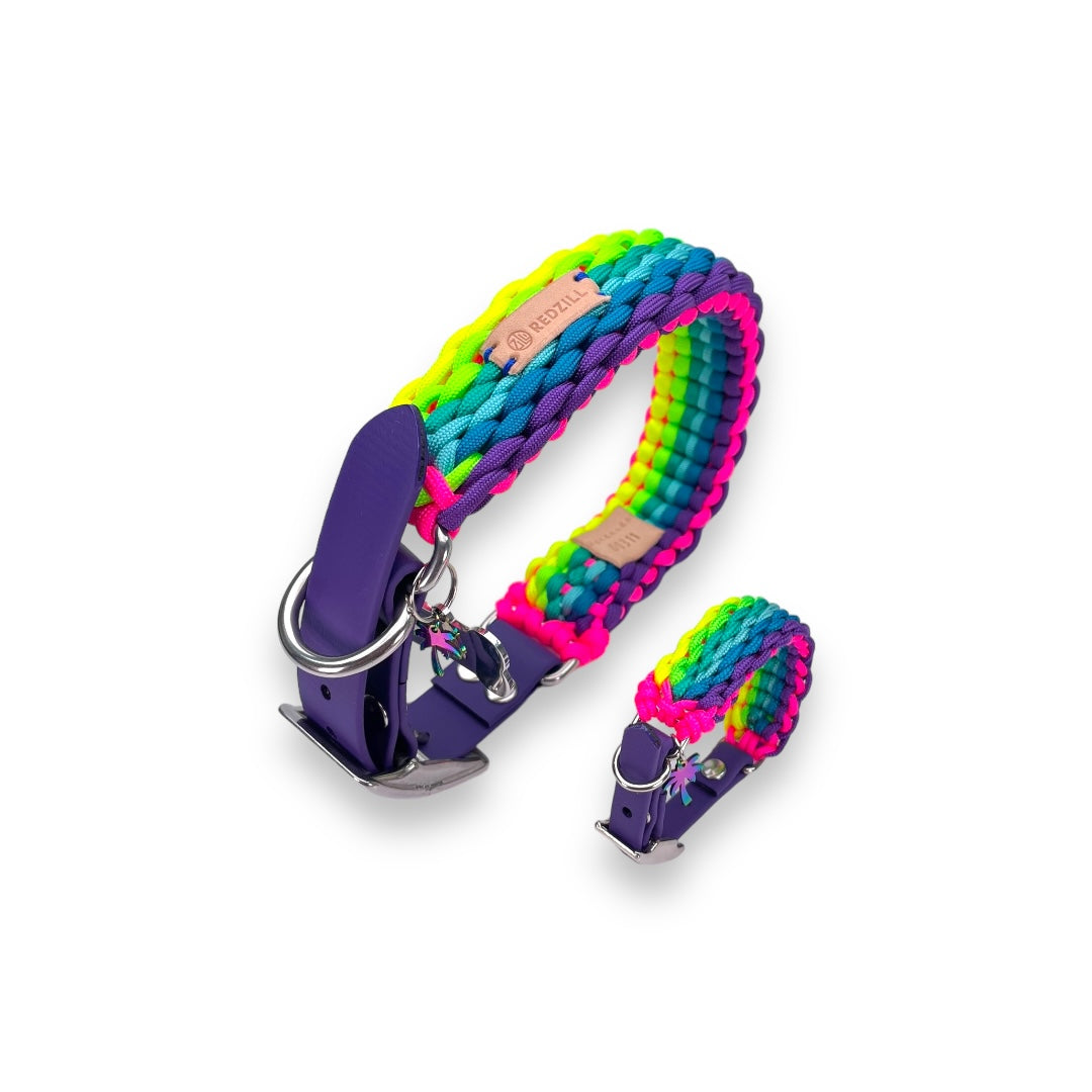 Raınbow Köpek Tasması Ve Bileklik Set-Tasma-Redzill-L-NowShopFun