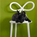 Ribbon 2'li Beyaz Sandalye Seti