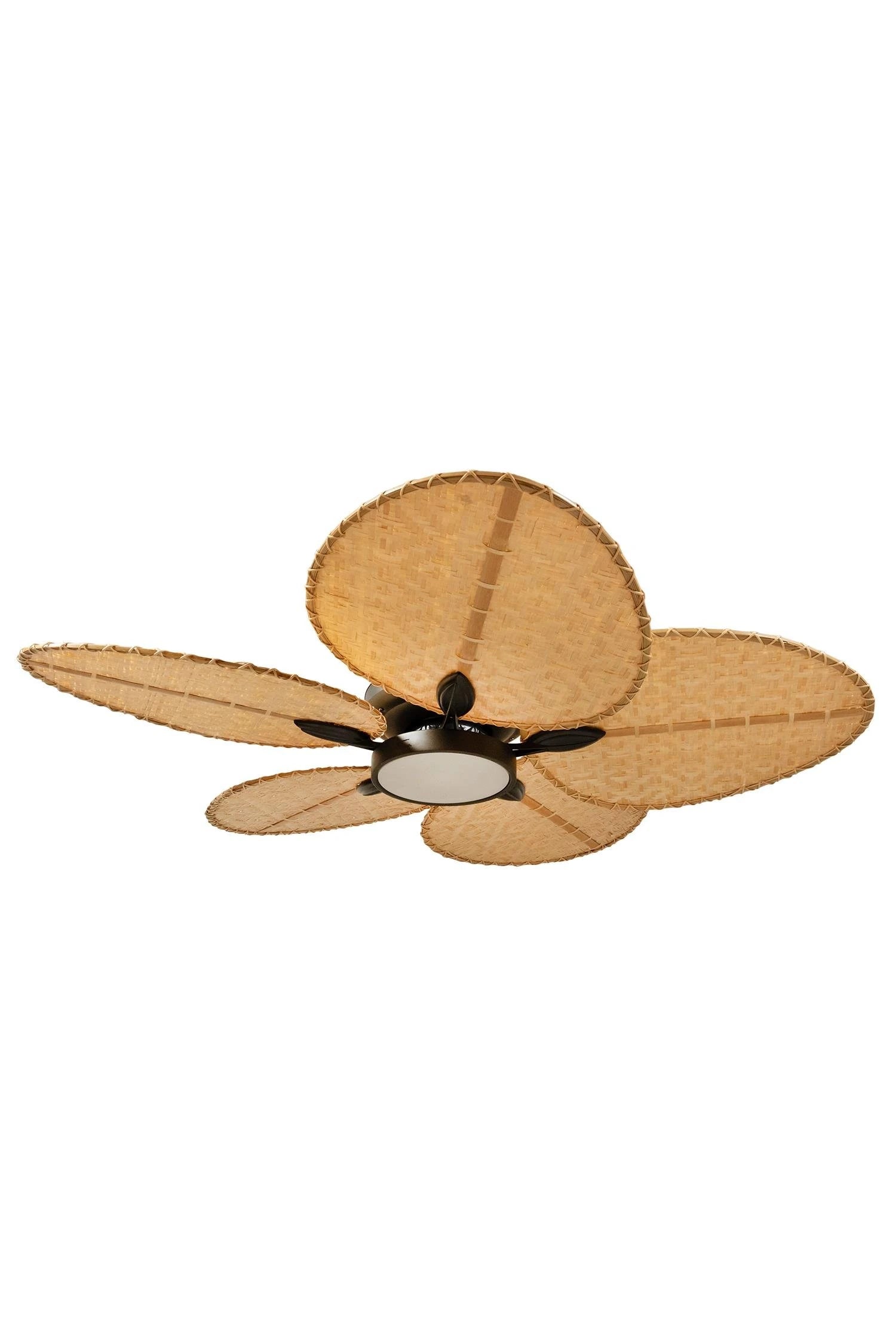 Robin Aydınlatmalı Tavan Vantilatörü No:1