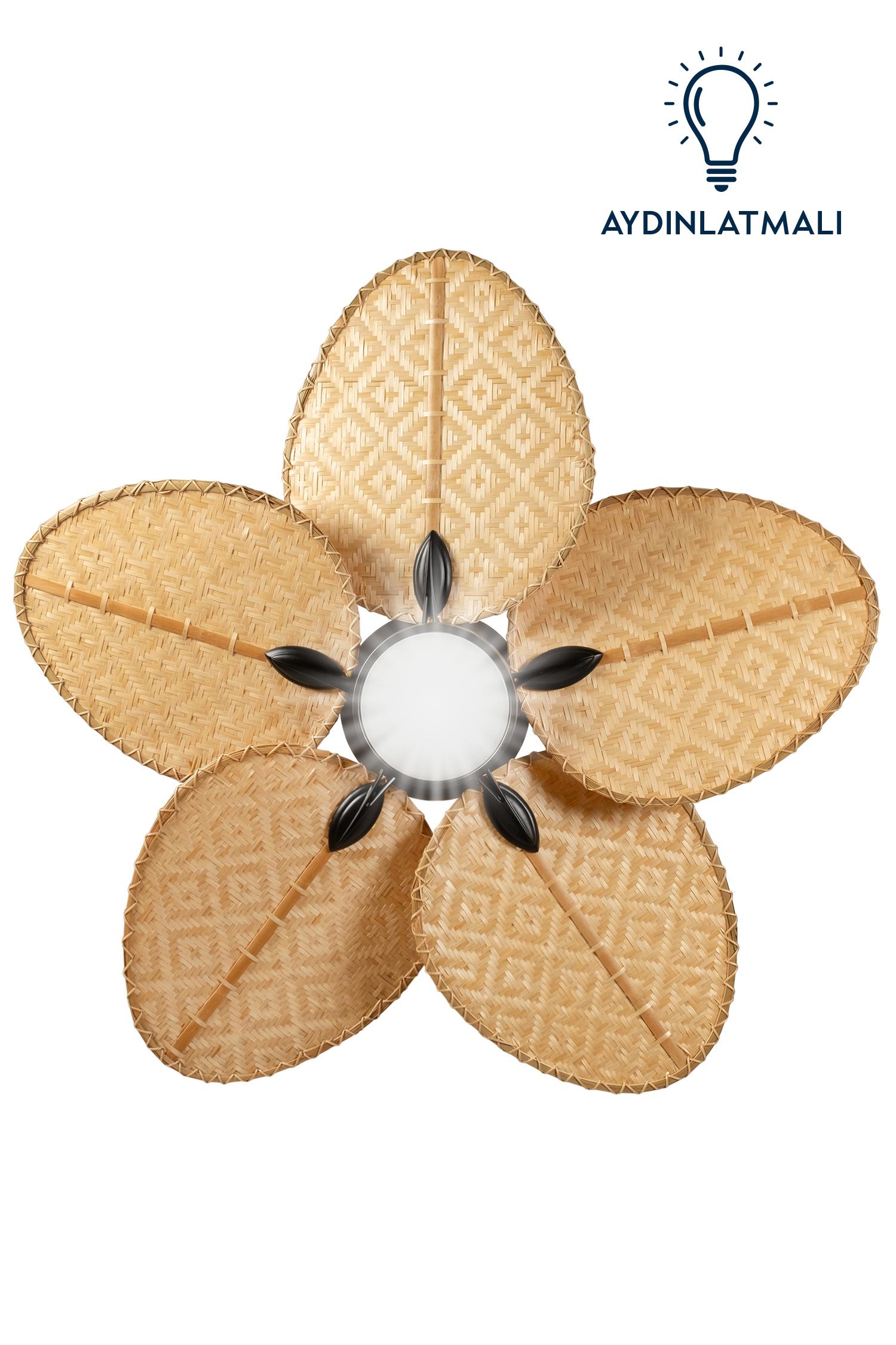 Robin Aydınlatmalı Tavan Vantilatörü No:1