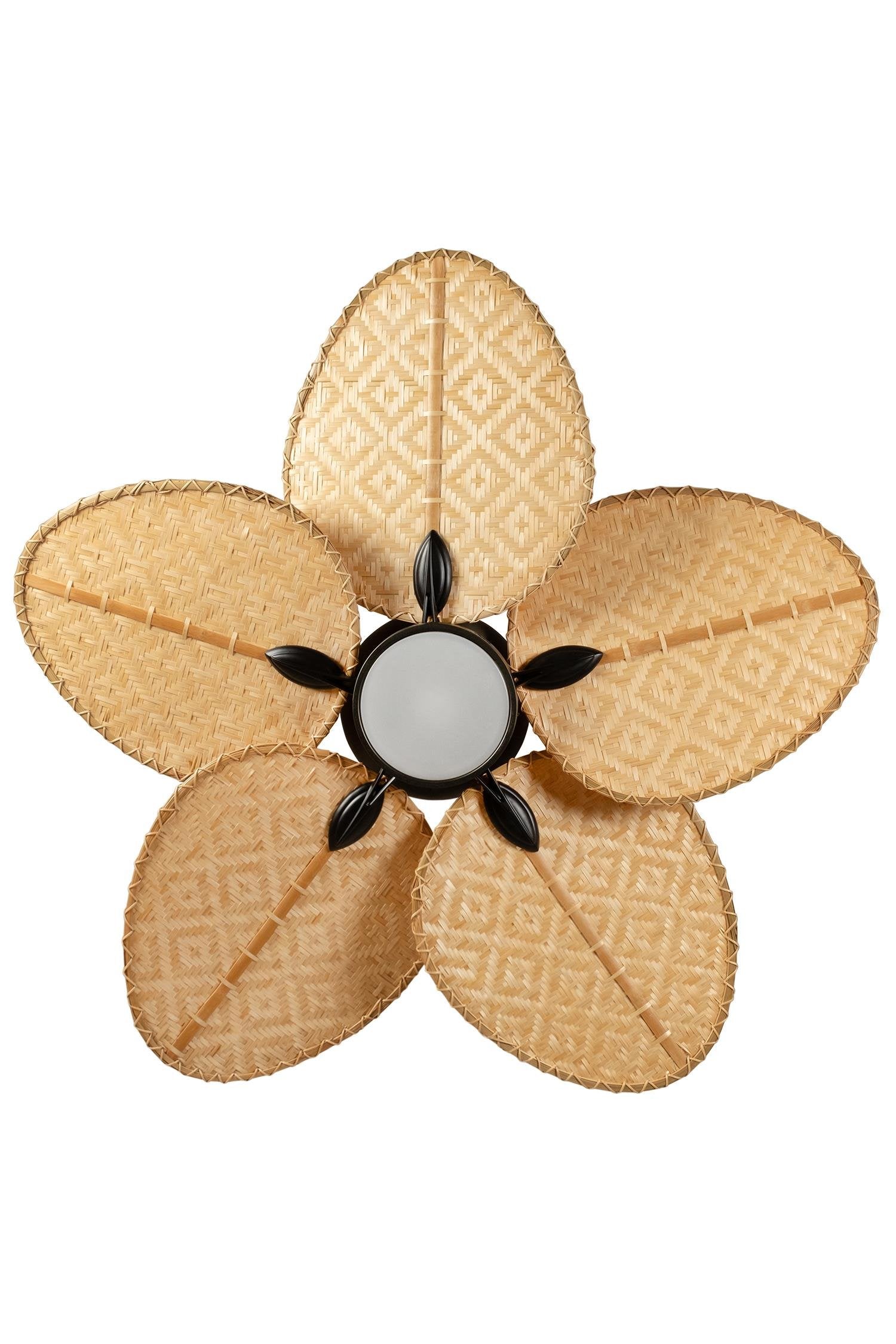 Robin Aydınlatmalı Tavan Vantilatörü No:1