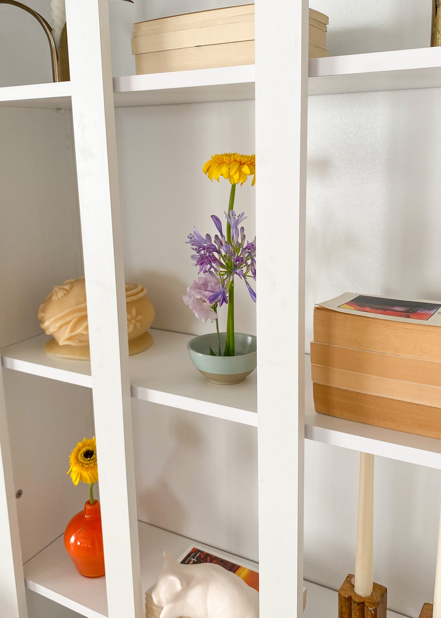Sardunya Kitaplık-Kitaplık-Semya Home-NowShopFun