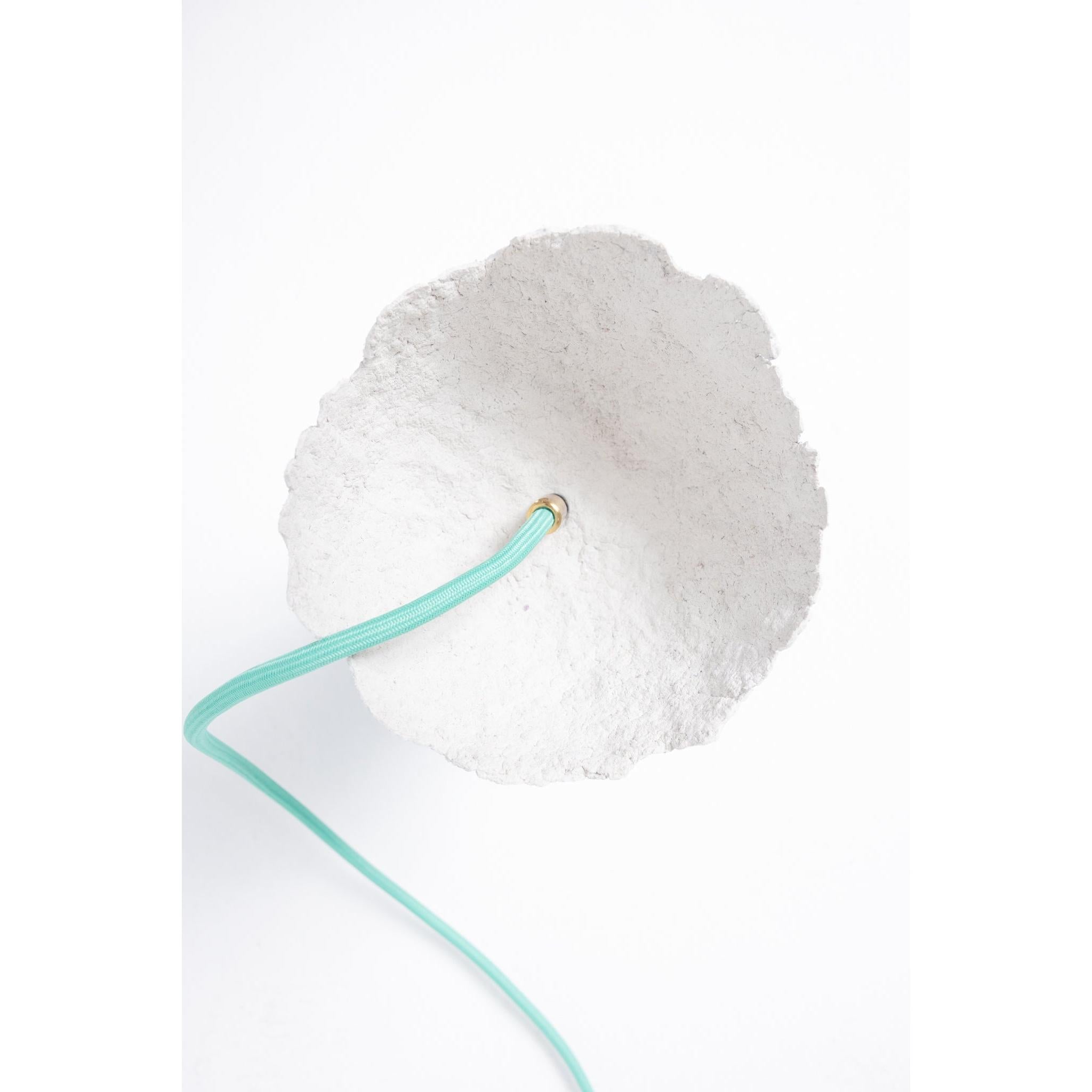 Sarkıt Aydınlatma Nest