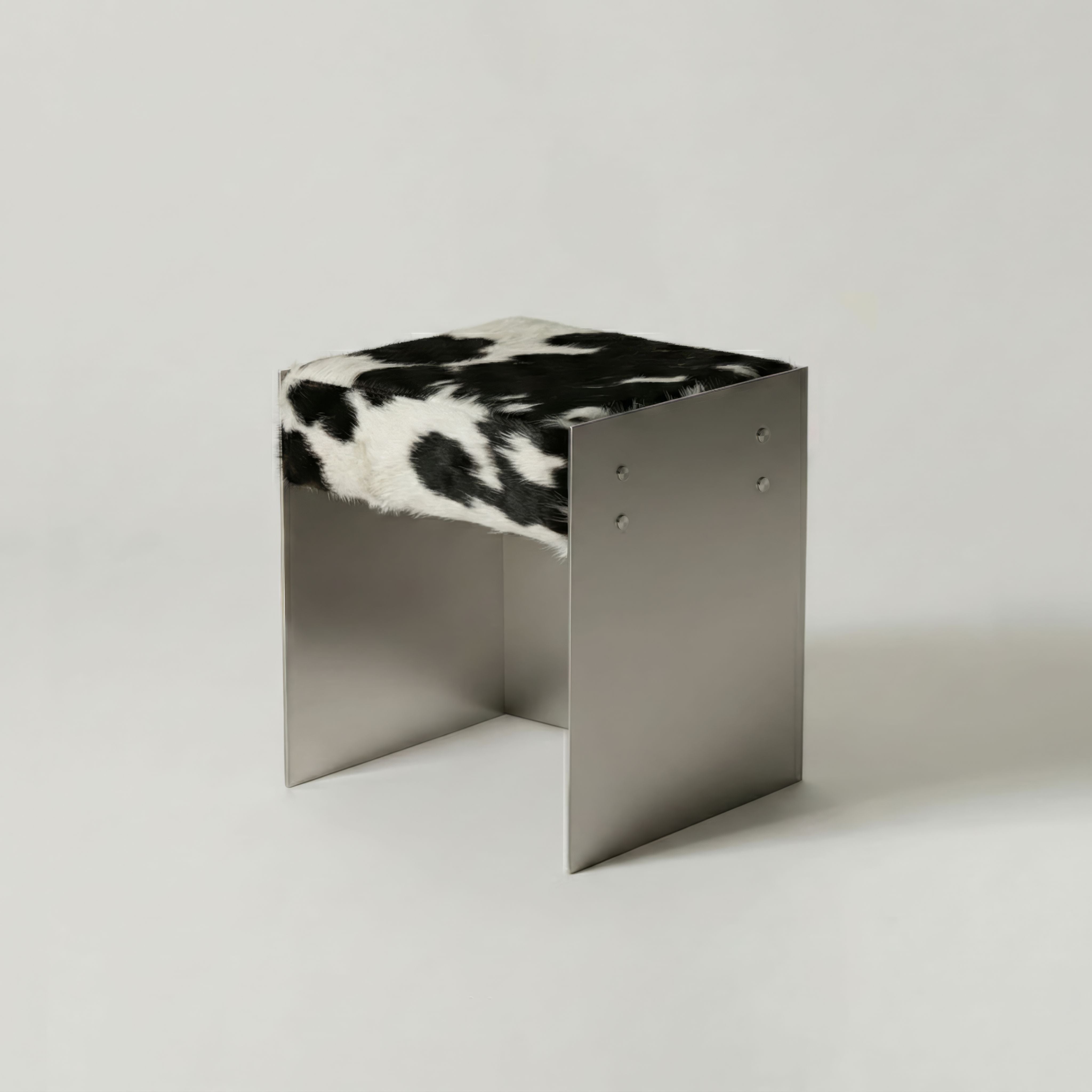 Scobel Paslanmaz Çelik Puf / Tabure