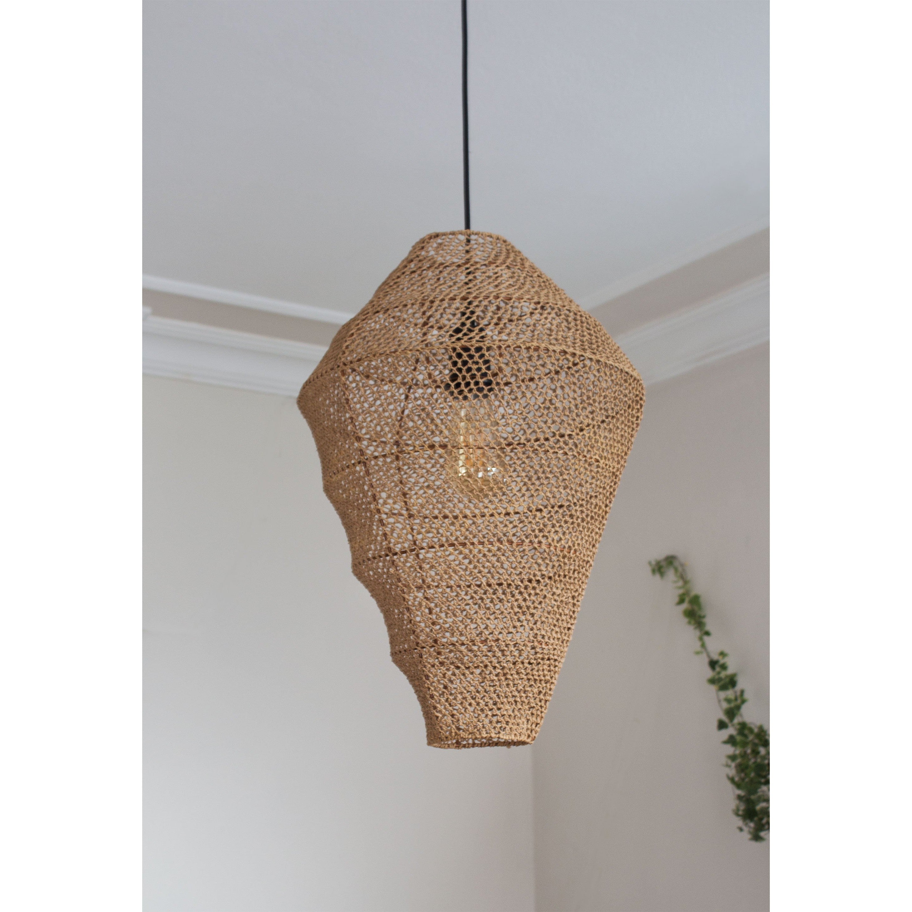 Sea Shell Sarkıt Aydınlatma