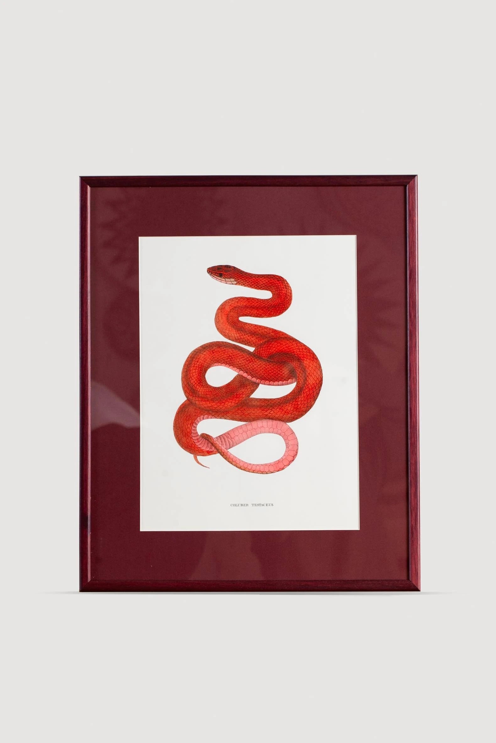 Serpent Serisi Tablo No:2