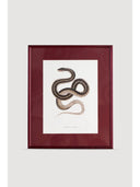 Serpent Serisi Tablo No:3