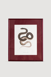 Serpent Serisi Tablo No:3