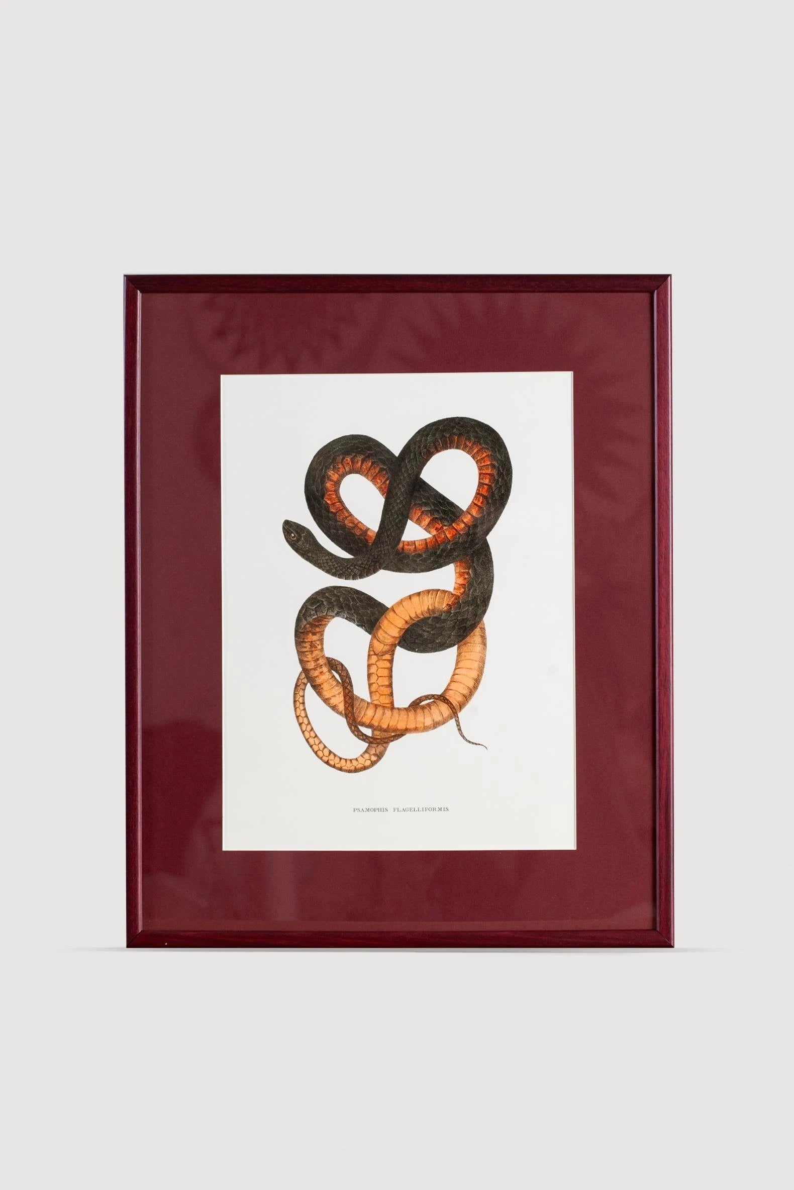 Serpent Serisi Tablo No:4