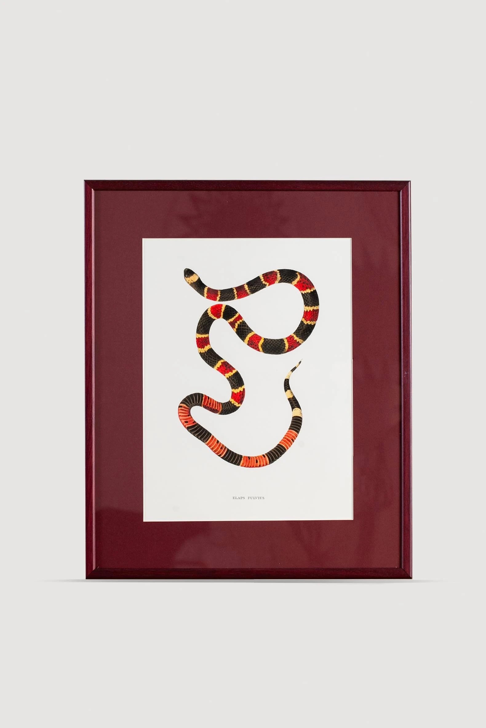 Serpent Serisi Tablo No:7