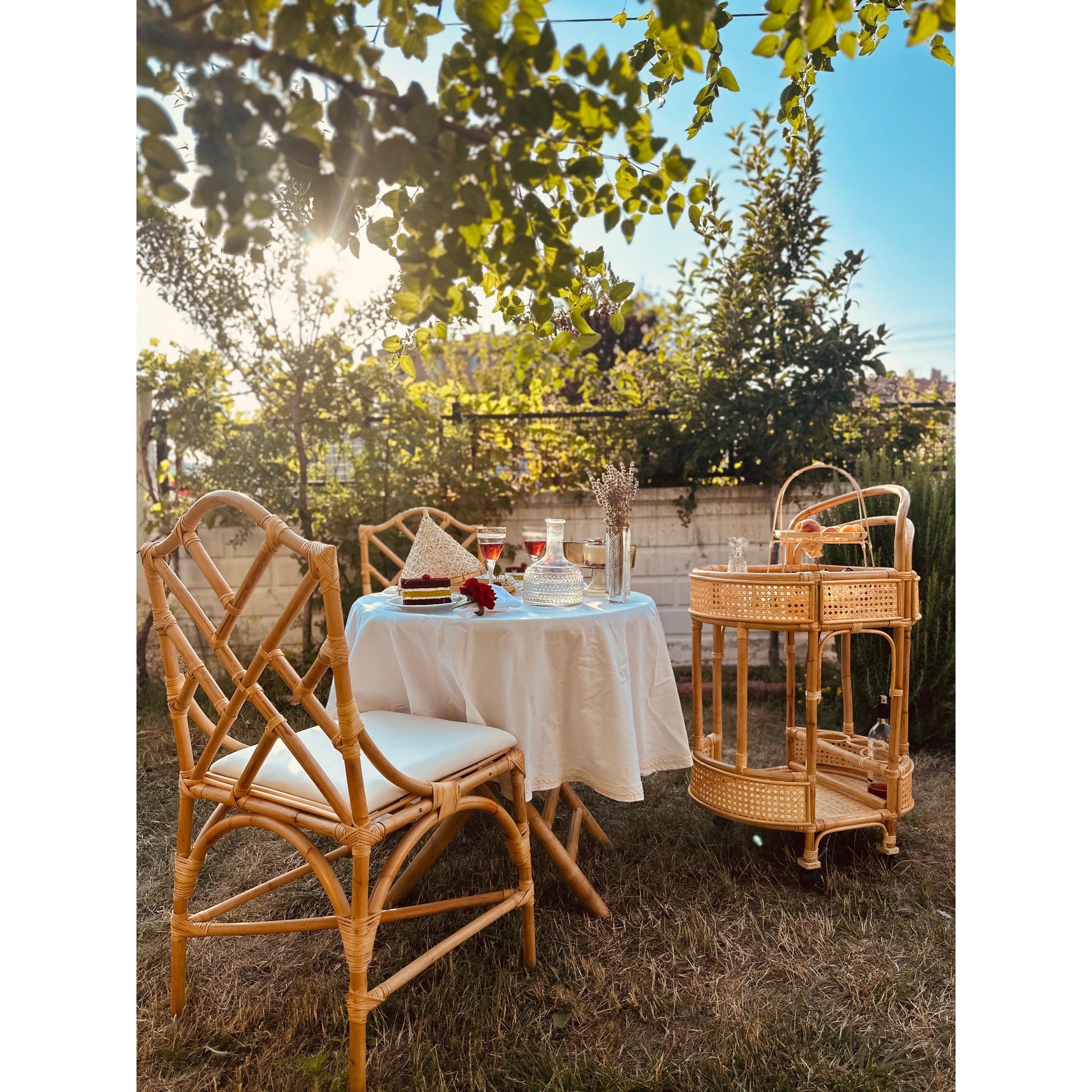 Shuttle Rattan Servis Arabası