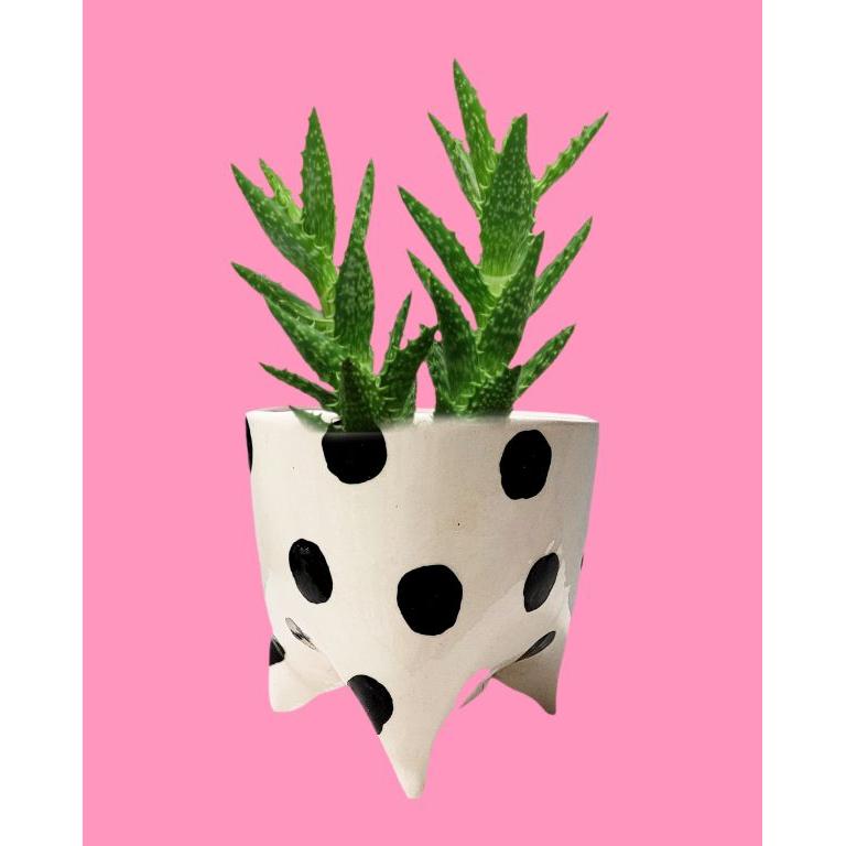 Siyah Beyaz Ayaklı Seramik Saksı