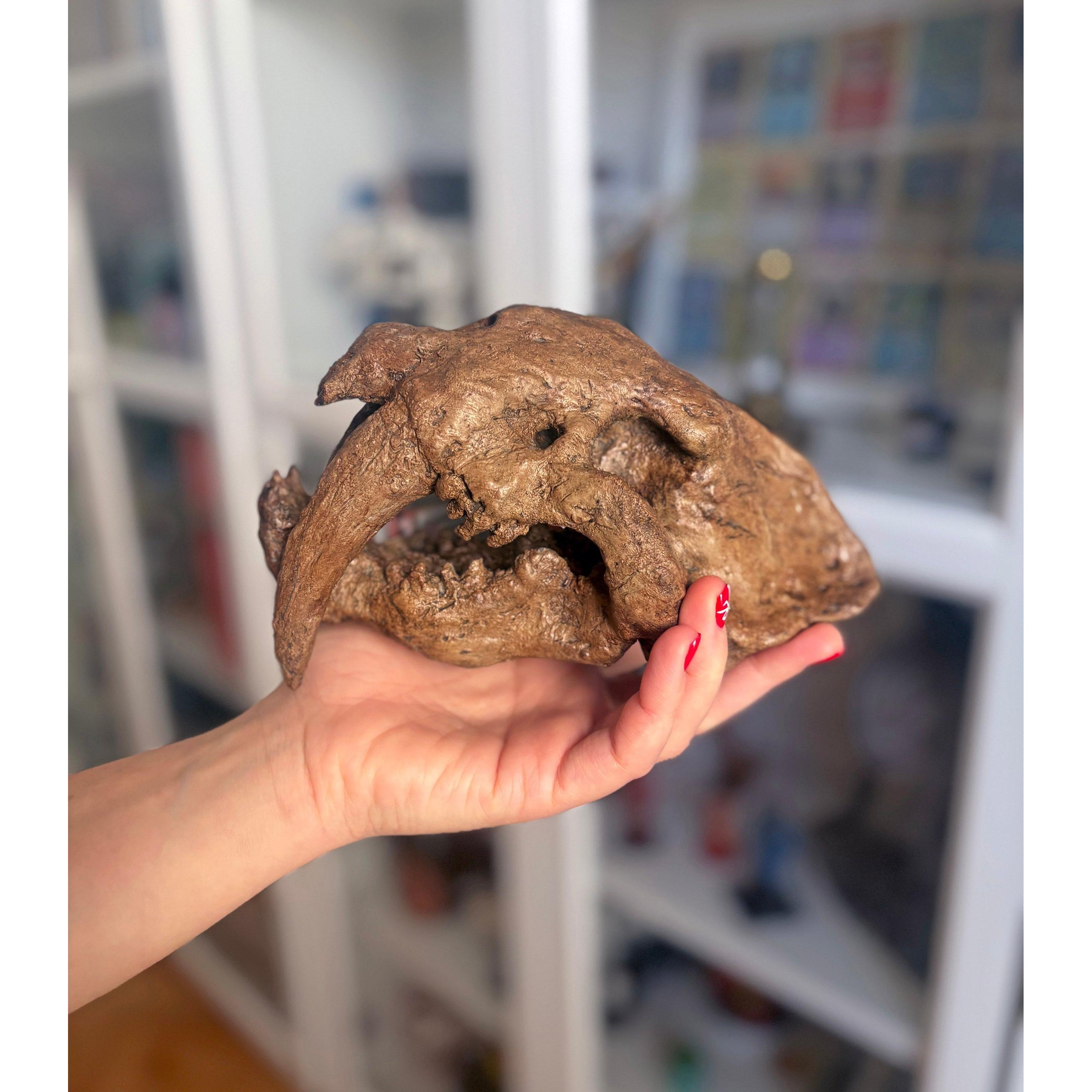 Smilodon Mini Seramik Heykel