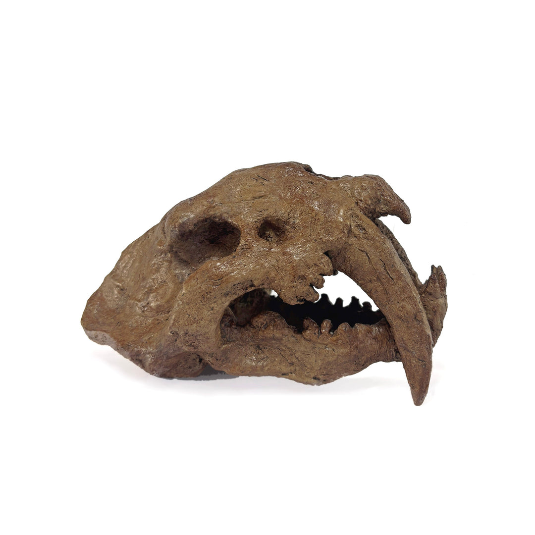 Smilodon Mini Seramik Heykel-Heykel-The Fossil Art-NowShopFun