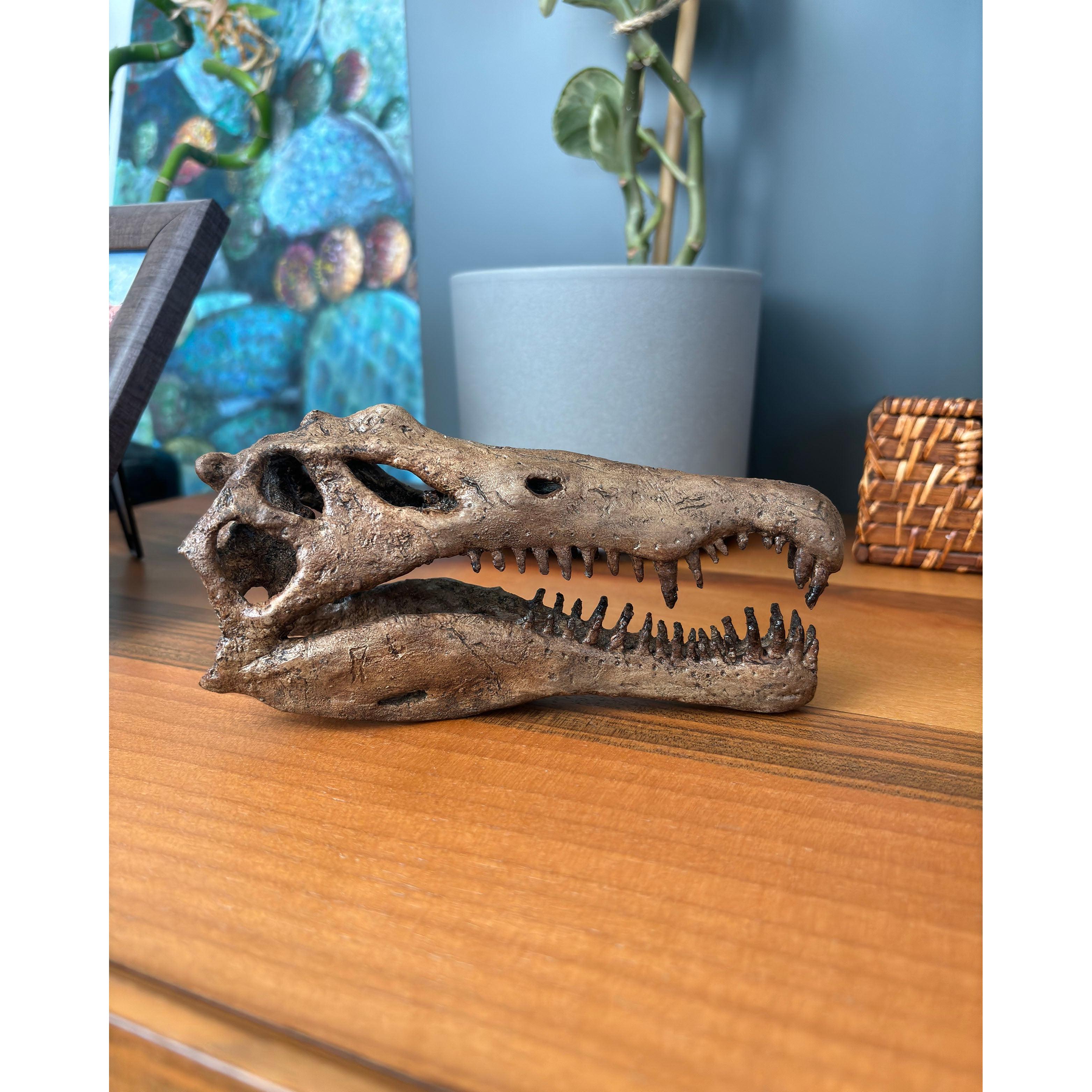 Spinosaurus Mini Seramik Heykel