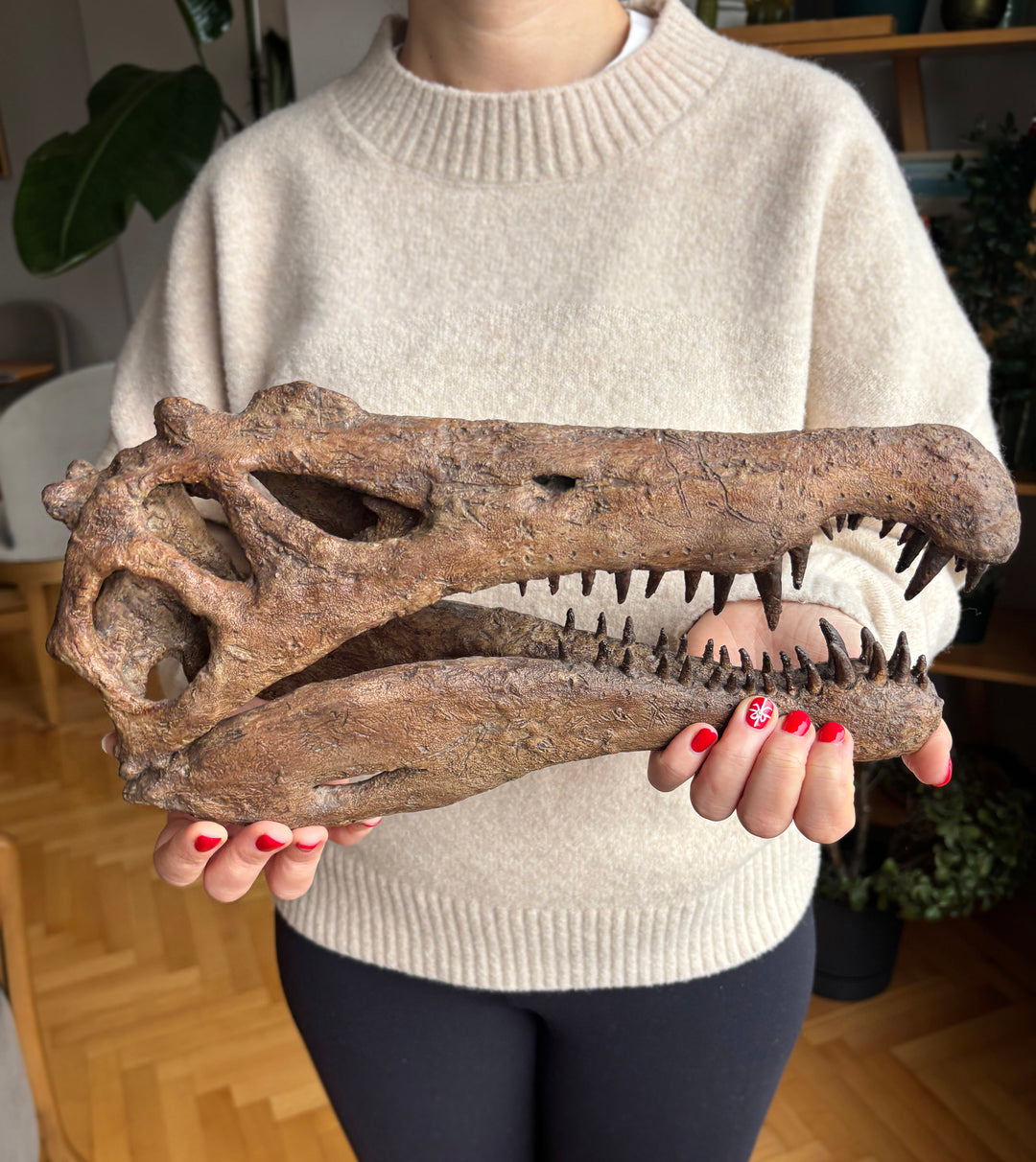 Spinosaurus Büyük Fosil Heykeli