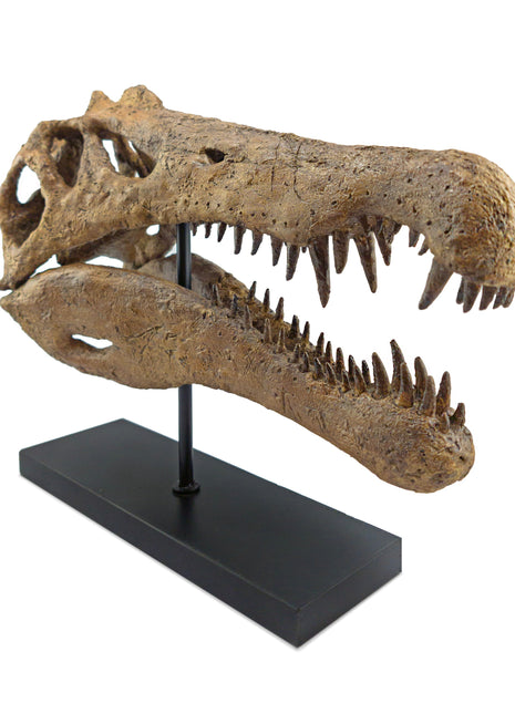 Spinosaurus Fosil Heykeli-Heykel-The Fossil Art-NowShopFun