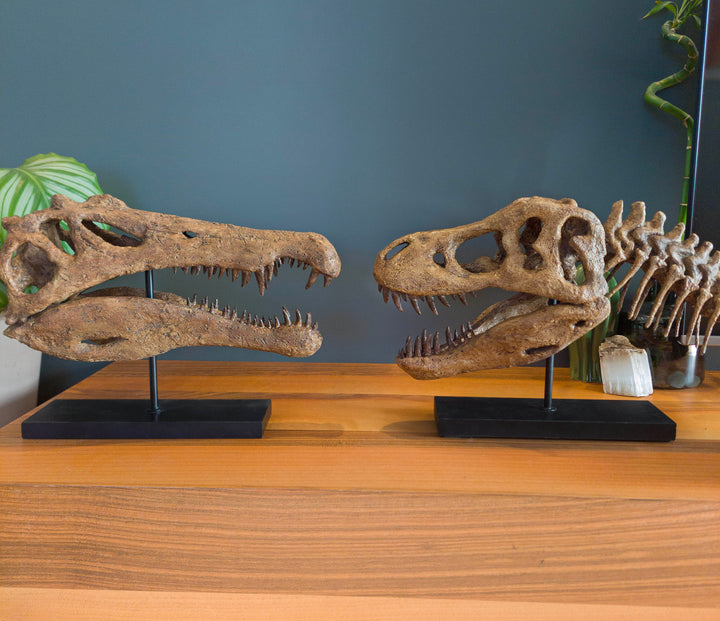 Spinosaurus Fosil Heykeli-Heykel-The Fossil Art-NowShopFun