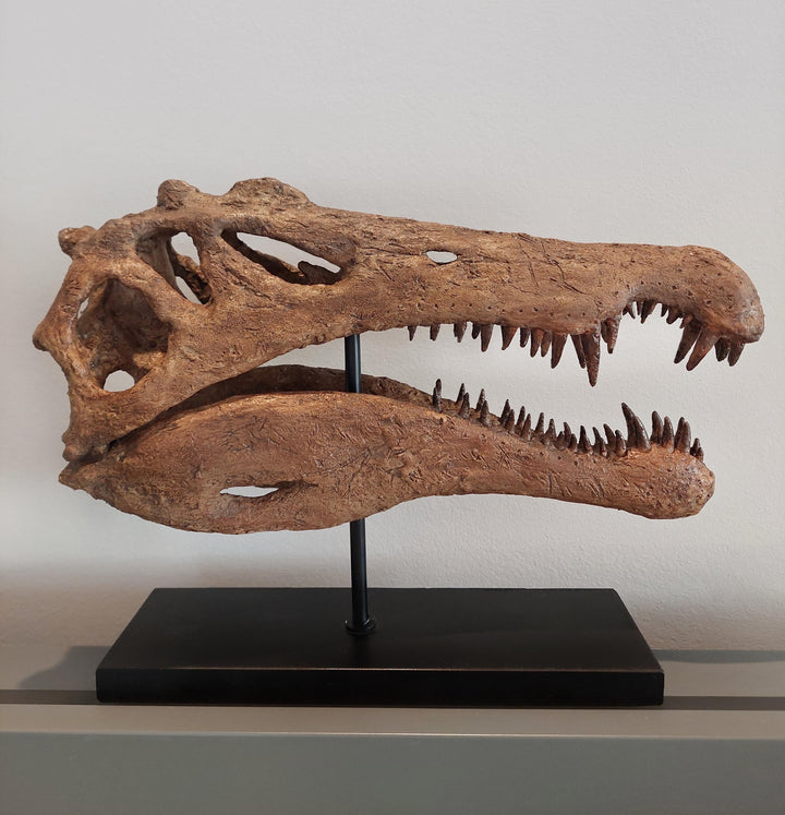 Spinosaurus Fosil Heykeli-Heykel-The Fossil Art-NowShopFun