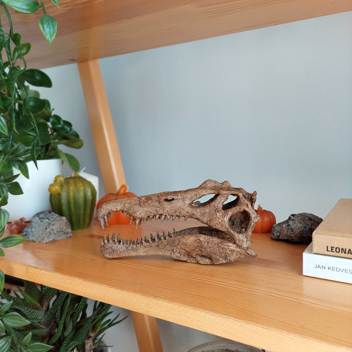 Spinosaurus Mini Seramik Heykel-Heykel-The Fossil Art-NowShopFun