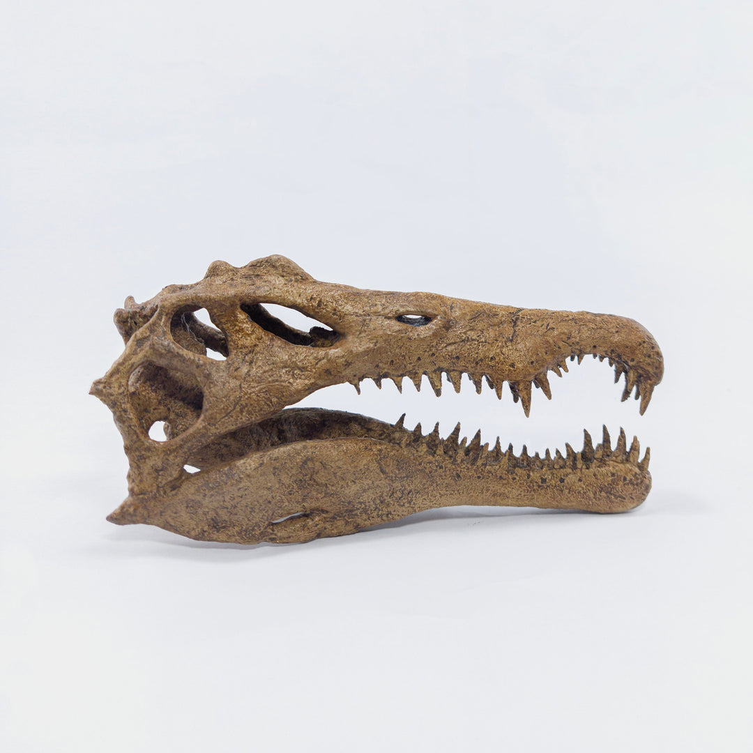 Spinosaurus Mini Seramik Heykel-Heykel-The Fossil Art-NowShopFun