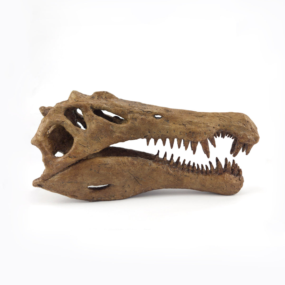 Spinosaurus Orta-Ölçek Seramik Heykel-Heykel-The Fossil Art-NowShopFun