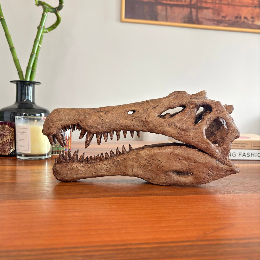 Spinosaurus Orta-Ölçek Seramik Heykel-Heykel-The Fossil Art-NowShopFun