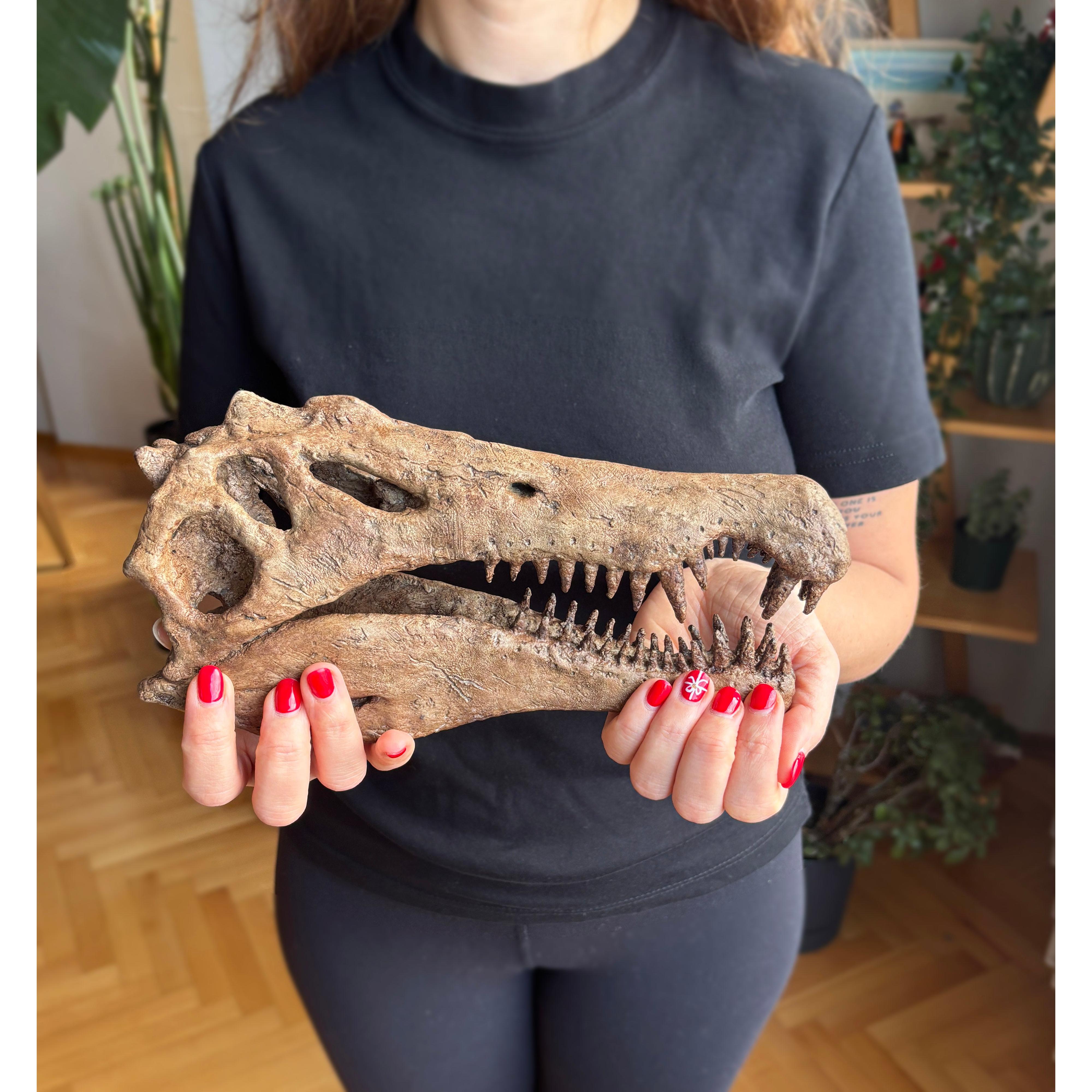 Spinosaurus Orta - Ölçek Seramik Heykel