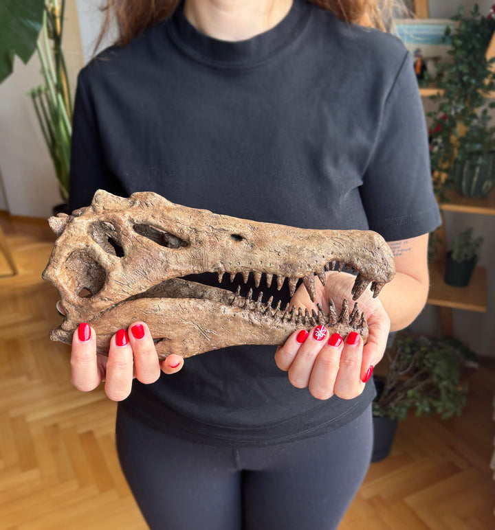 Spinosaurus Orta-Ölçek Seramik Heykel-Heykel-The Fossil Art-NowShopFun