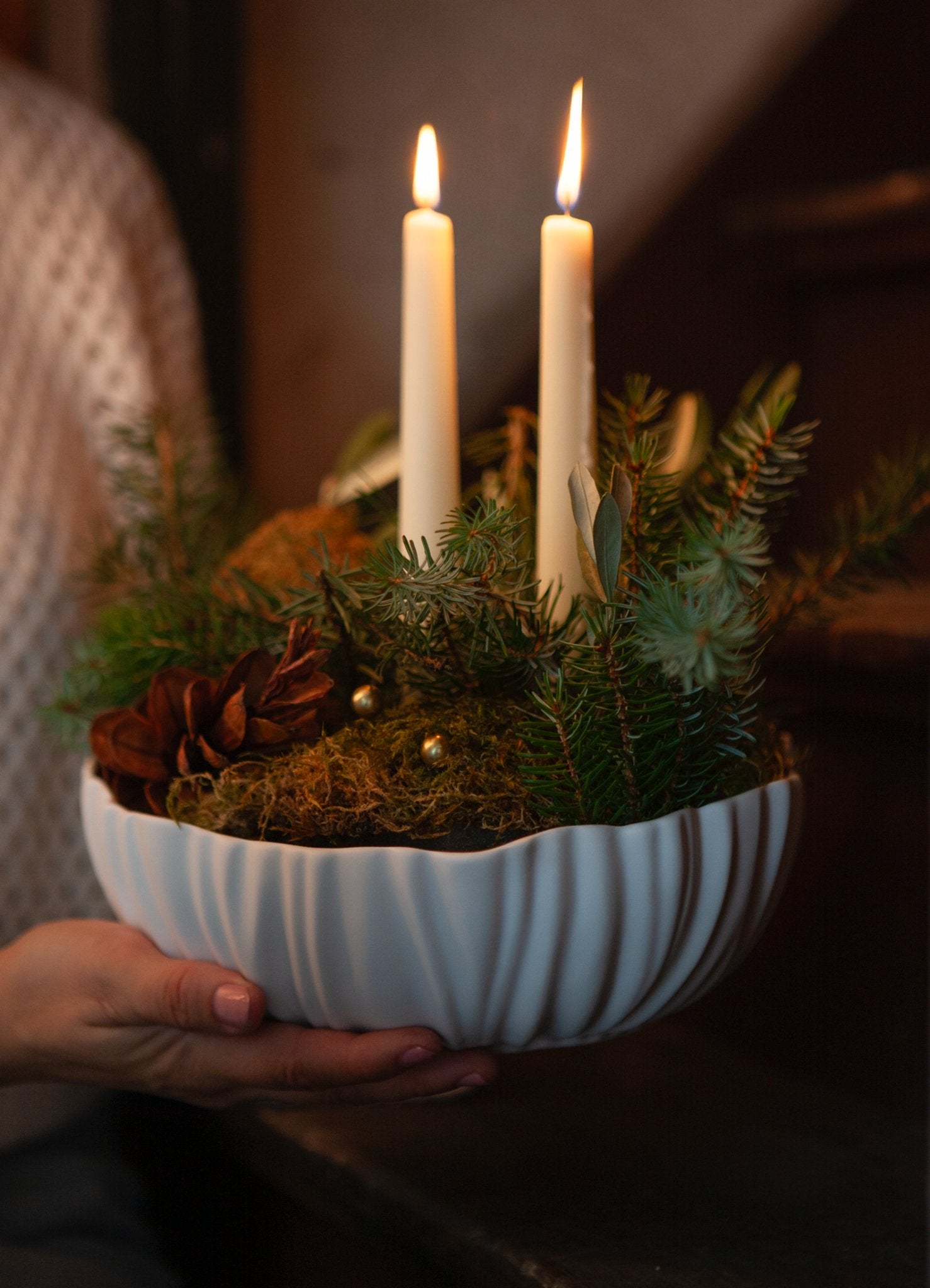 Spirulina Kase - Kaiser Koleksiyonu