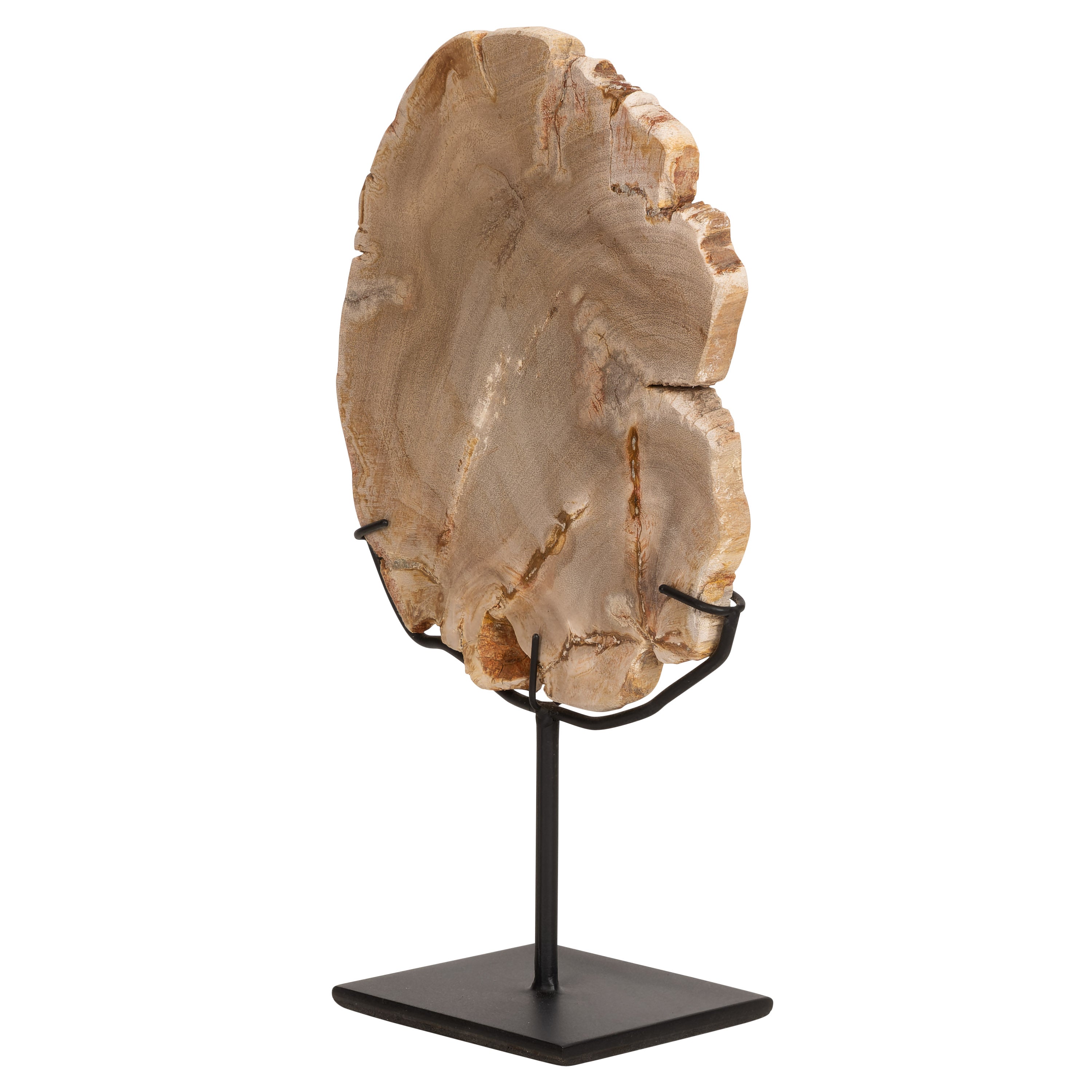 Standlı Dekoratif Aksesuar Fosil Ağaç