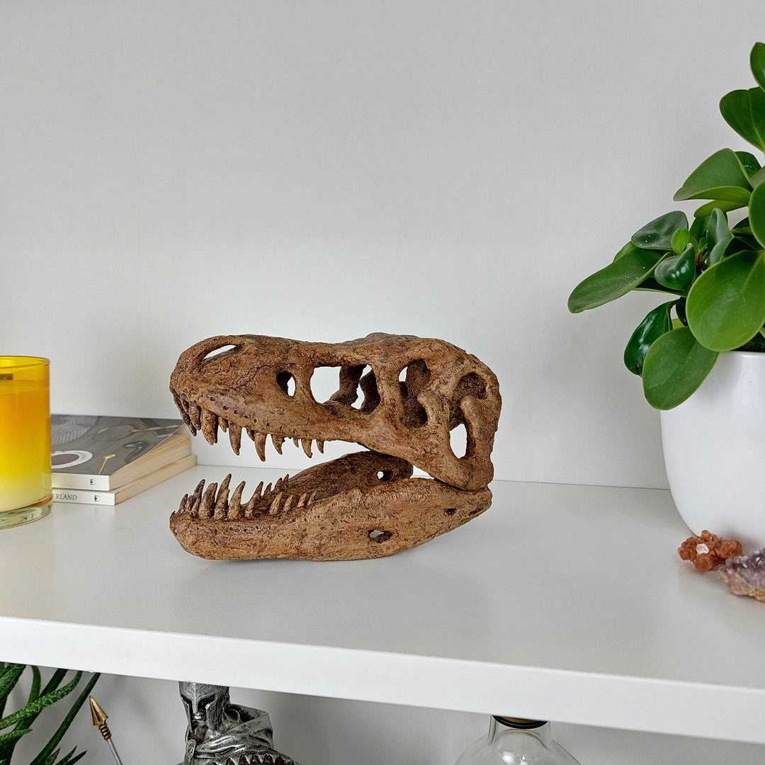 T-Rex Mini Seramik Heykel-Heykel-The Fossil Art-NowShopFun