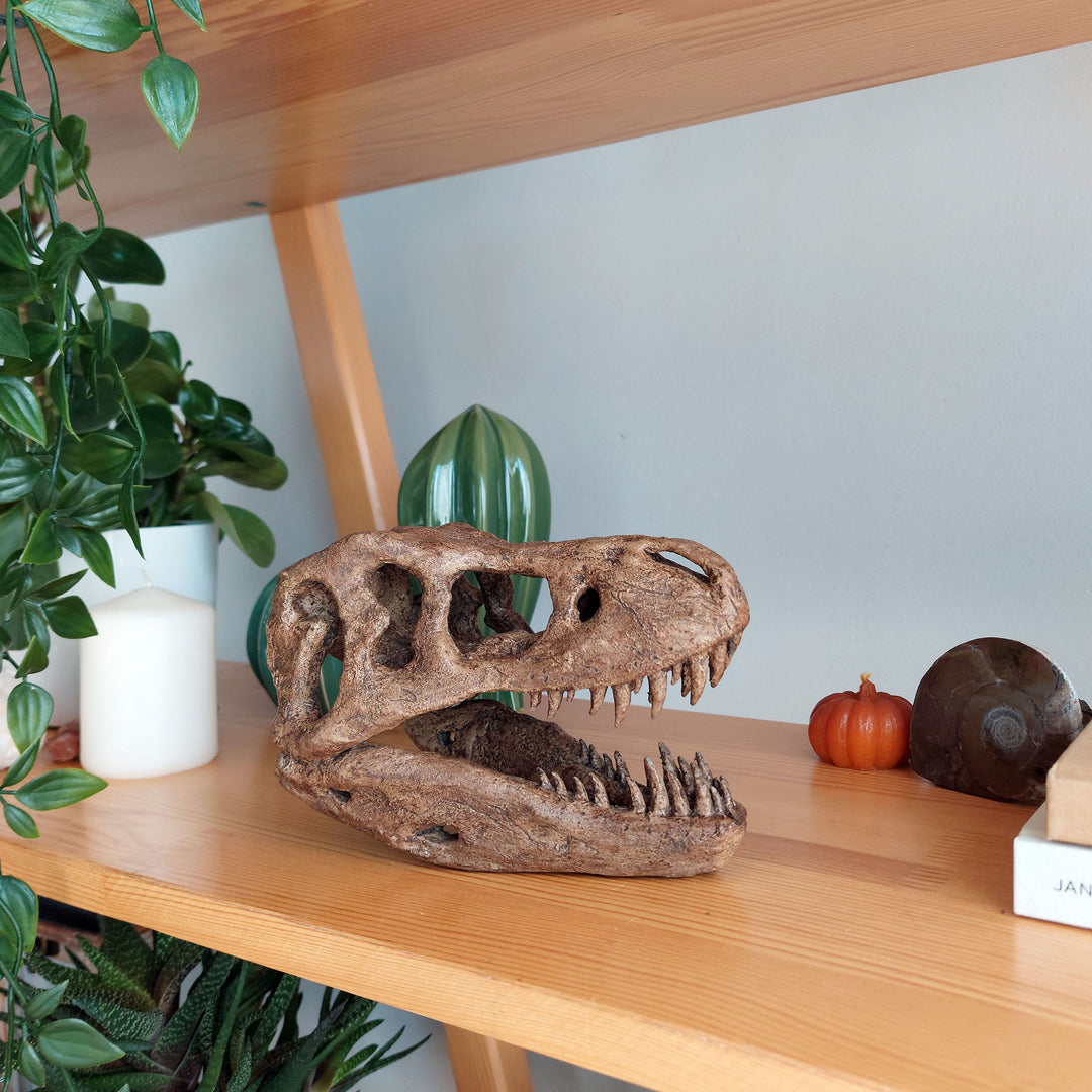 T-Rex Mini Seramik Heykel-Heykel-The Fossil Art-NowShopFun