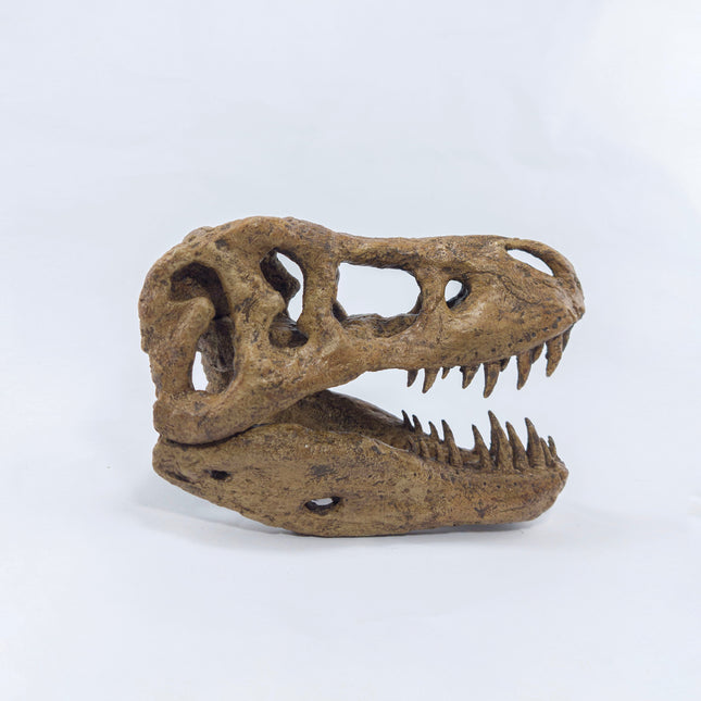 T-Rex Mini Seramik Heykel-Heykel-The Fossil Art-NowShopFun
