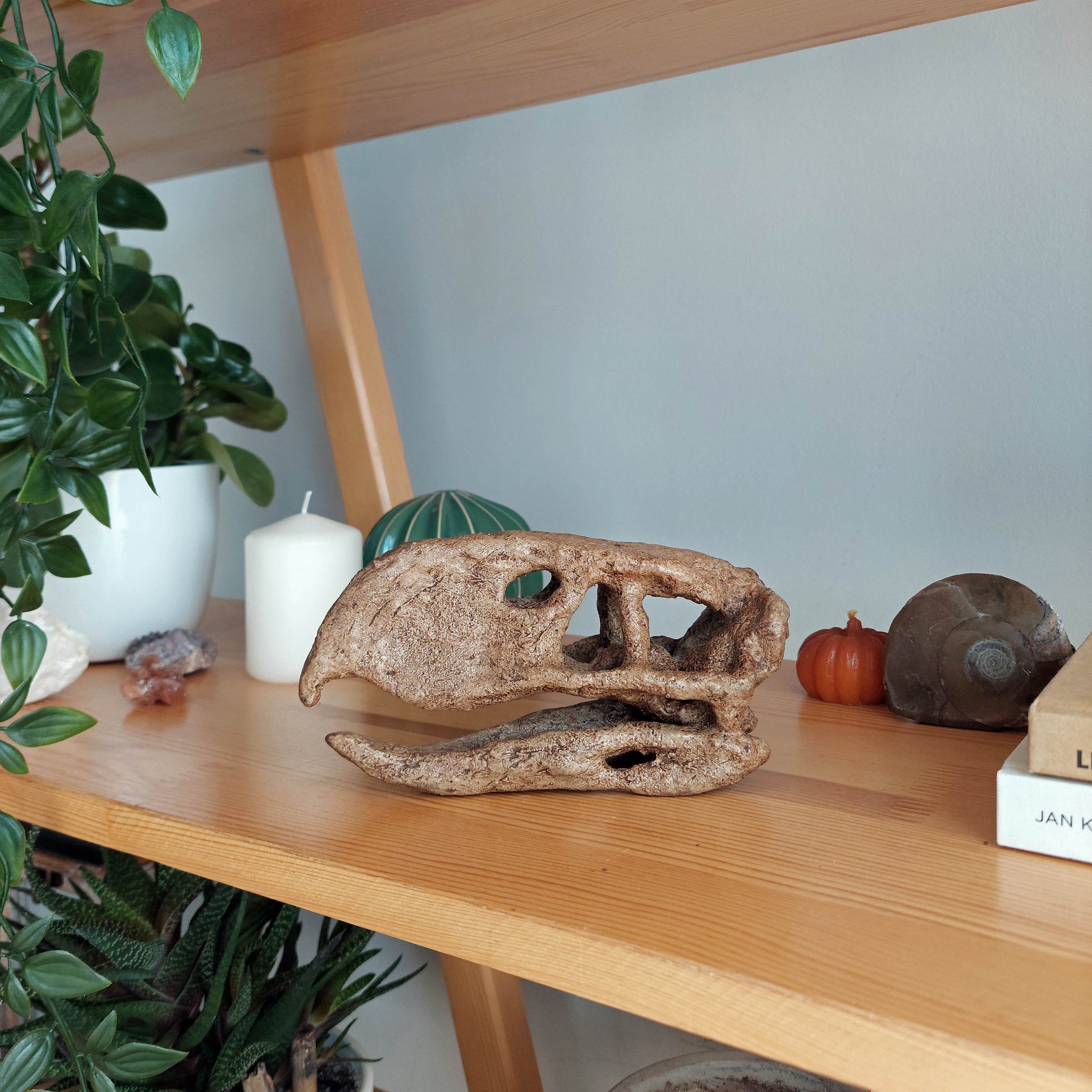 Terror Bird Mini Seramik Heykel