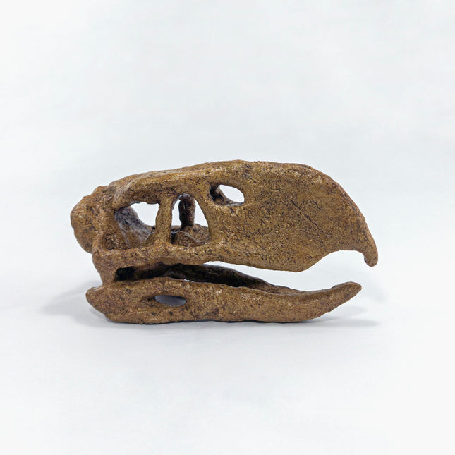 Terror Bird Mini Seramik Heykel-Heykel-The Fossil Art-NowShopFun