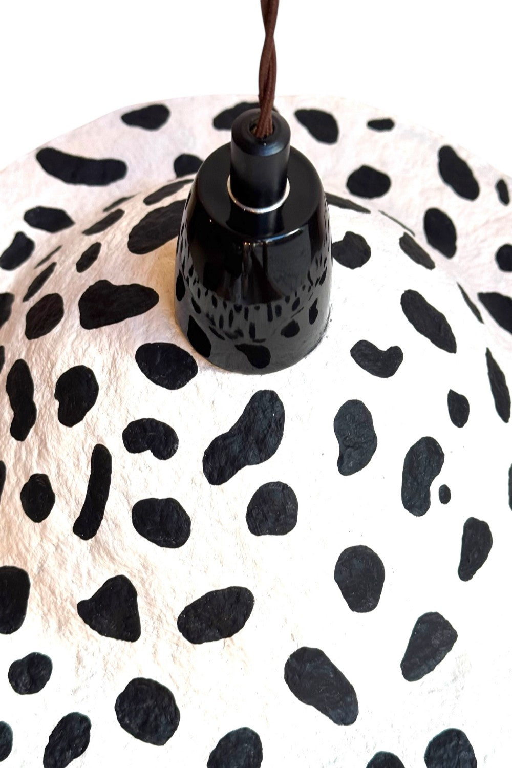 The Dalmatian