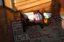 The Flower Knows Kitaplık/Plaklık-Ayana Studio-NowShopFun