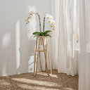 Tige Doğal Rattan Bitki Standı-Saksılık-Lo-Fi House-NowShopFun