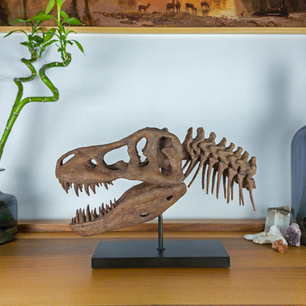 T-Rex Fosil Heykeli