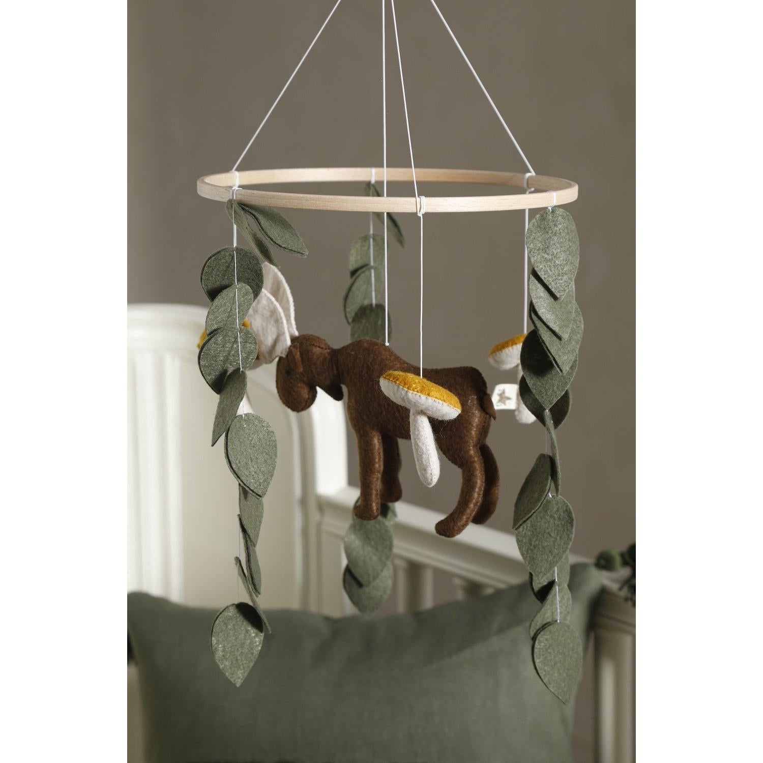 Ren Geyiği Dönence