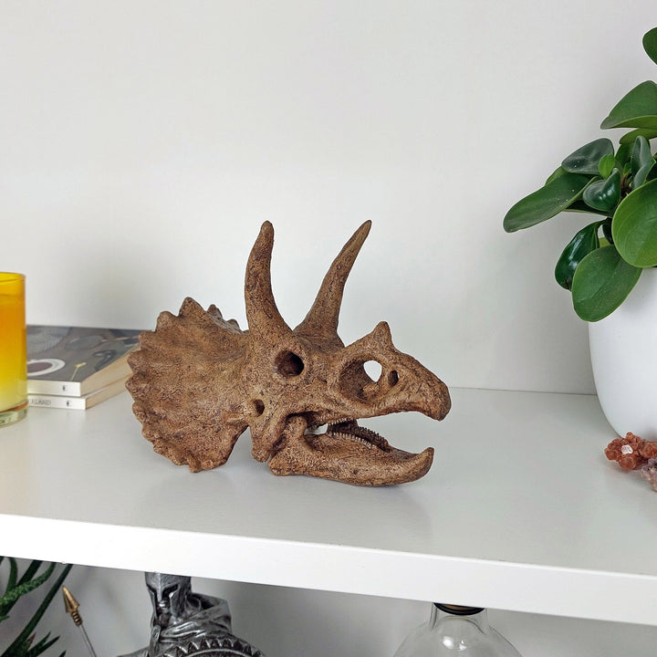 Triceratops Mini Seramik Heykel-Heykel-The Fossil Art-NowShopFun