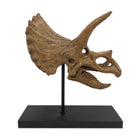 Triceratops Fosil Heykeli No.2